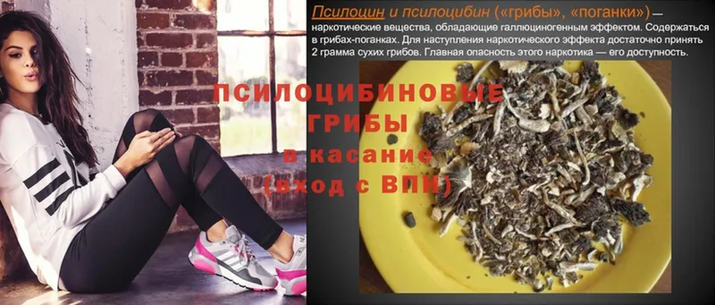 Галлюциногенные грибы GOLDEN TEACHER  это формула  Западная Двина 